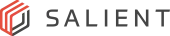 Salient Systems logo