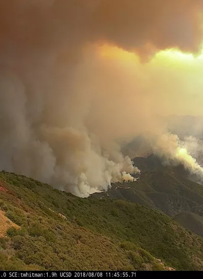 Aerial view of wildfire