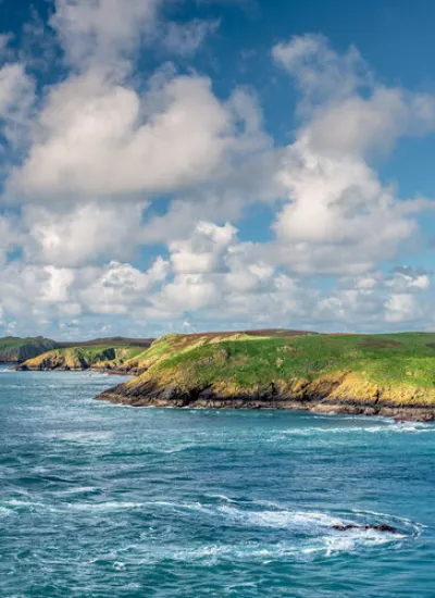 Skomer Island