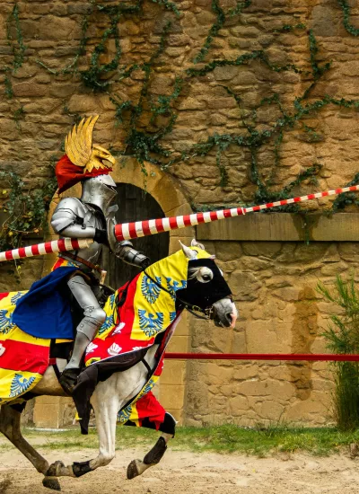 Puy du fou