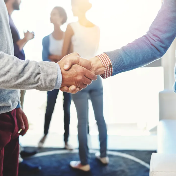 Business handshake and sunlight