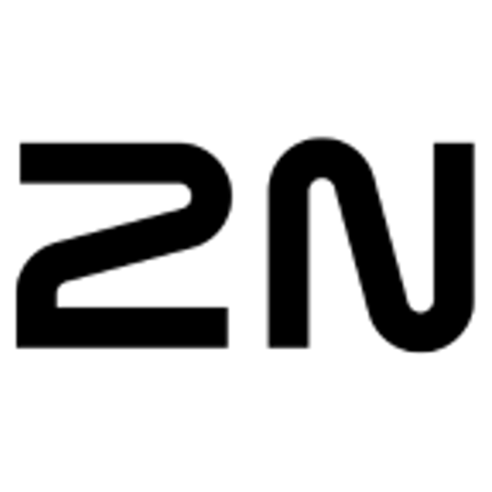 2N logoype.