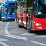 City buses 