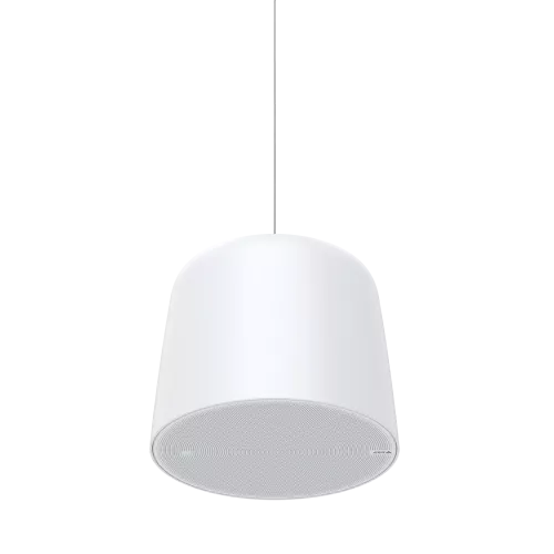 AXIS C1511 Network Pendant Speaker