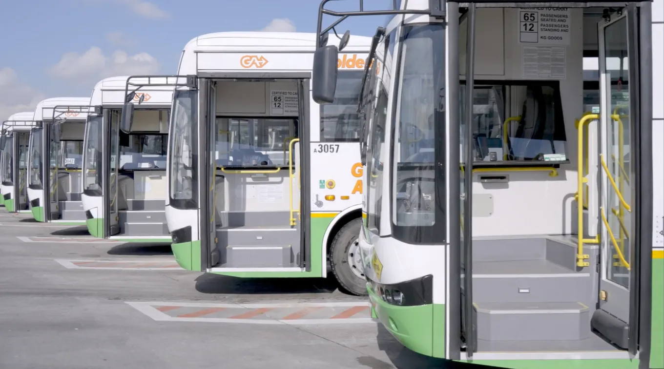 Golden arrow buses parked side by side 